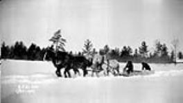 (Relief Projects - No. 51). Plowing a road across the lake with four horses at Camp No. 12 Feb. 1934
