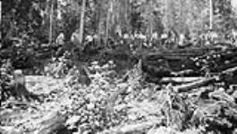 Groupe luttant contre un feu au camp 3, projet de secours no 51 July 1934.