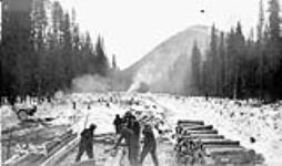 Clearing the road way near Camp 411, Relief Project No. 56. Février 1935.