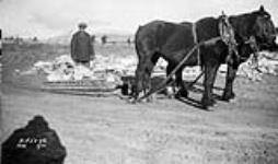 (Relief Projects - No. 58). Removing stone Nov. 1934