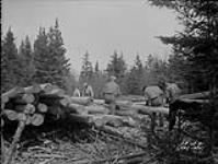 (Relief Projects - No. 103). Peeling logs for the rangers' headquarters May 1934