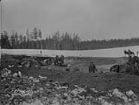 (Relief Projects - No. 109). Excavation of No. 1 runway June 1936