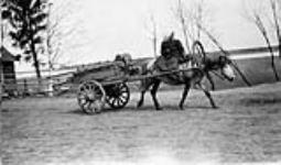 Typical peasant cart, Northern Russia, 1919 1919