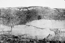Churchill quartzite, vertical surface facing westward 13 Ot 1894