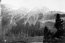 Mountain near Head of Red Deer River, Alberta 22 Sept. 1884