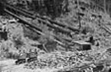 Harewood coal mine June 1875