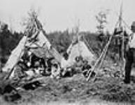 Indian camp 1884.