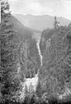Elko Canyon, [B.C.] 1900