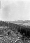 Landslide, Frank, Alta 1903