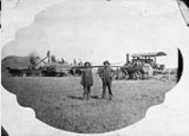 [Threshing with a Reeves 32 H.P. tractor and a Reeves 44-66 thresher at Hanley, Sask.] ca. 1901