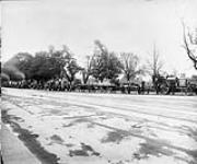[Line up of tractors used during World War I] n.d.