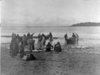 Makah fisherman return to Cape Flattery with their catch of halibut. [The Makah belong to the Nootka branch and reside in Washington] 1916