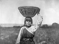 This Tewa girl is balancing [a burden basket full of grain] on her head which has just been threshed by the hoofs of horses and goats; San Juan, [Rio Grande Valley, New Mexico] 1926