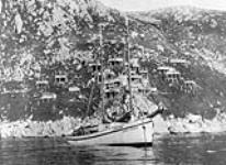 King Island Village from the sea. [The Alaskan Eskimos] of King Island occupy dwellings erected on stilts on the cliff side 1930