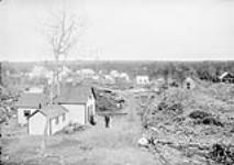 Modestock Gold Mining Co., Forest Hill, Guysboro Co., N.S 1897