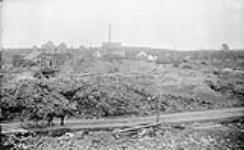 New Glasgow Gold Mining Co., looking East, Goldenvill, Guysboro, Co., N.S 1897