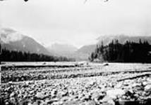 Looking S. 70 W. to Jarvis Glacier 1898