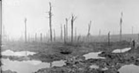 Passchendaele, now a field of mud. November, 1917. (The Battles of Ypres) November, 1917.