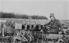Mrs. Raymond Thompson in a canoe on a large muskrat ranch in Alberta