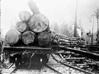 Logging on Vancouver Island, B.C [1930]