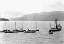 Cannery Fleet hitching on to tow boat, Skeena River, B.C [1930]