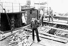 Unloading salmon from a scow, B.C