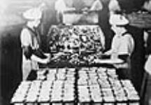 Sardine canning, close-up of operators packing sardines / Mise en conserve de sardines à Blacks Harbour ca. 1925 - 1930