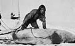 Inuit with seal 1925