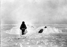 Inuit boy learning to use the long whip, Chesterfield, Hudson Bay, N.W.T n.d.