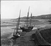 Schooners at low tide ca. 1900