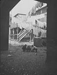 Pointe St. Charles District, Montreal, P.Q., April 25, 1946. [Slum conditions] 25 April 1946