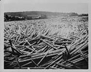 Pulpwood logs, Gatineau River, Quebec 1926