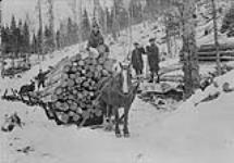Hauling logs to riverside, Price Bros. Limits, Quebec 1926