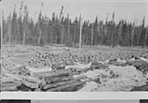Ties along Rouyn branch, Canadian National Railways, P.Q., March 1927