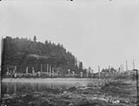 [Skedans Indian village. Haida tribe. Louise Island, Queen Charlotte Islands, B.C.] July 18th, 1878