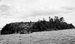 Island in Woody Lake, Sask