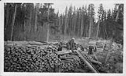 Woodpile [for fueling steamers] near the mouth of the Peace [River, Alta., 1927] 1927