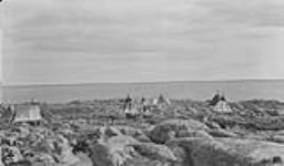Chipewyan camp, Churchill, [Man.] 1910