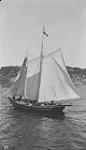 Fishing schooner arriving Port Anthony [St. Anthony, Nfld.] from Labrador fishing, 1910 1910