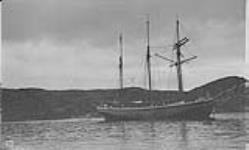 Norwegian schooner [at] Indian Harbour, [Labrador] for cargo, 1910