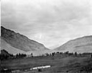 View (Northward) of Slide from Bellevue Mine, [Frank, Alta.] [1903], 1911