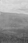 Boundary slash at Kingsgate, Moyie Mt. and vicinity, B.C 1911