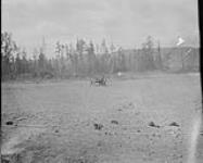Clay pits - leading cart, S.W. of Sidney, Vancouver Island, B.C., 1910