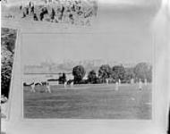 Cricket Grounds ca. 1900-1925