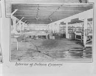 Interior of Salmon Cannery ca. 1900-1925