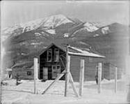 [Morrissey Internment camp, B.C.] ca. 1915 - 1918