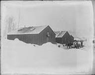 Bunk House No. 4 [at an internment camp] ca. 1915 - 1918