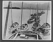 Salmon fishing fleet being towed to fishing waters, Skeena River, B.C 1928