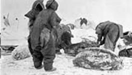 Eskimo women tying up blubber to be cached on the coast for the summer, Dolphin and Union Strait, N.W.T n.d.