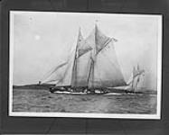 Start of Fishermen's International Schooner race, Nova Scotia, 1921
